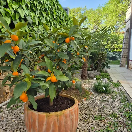 Apartament Fefe With Sea View *